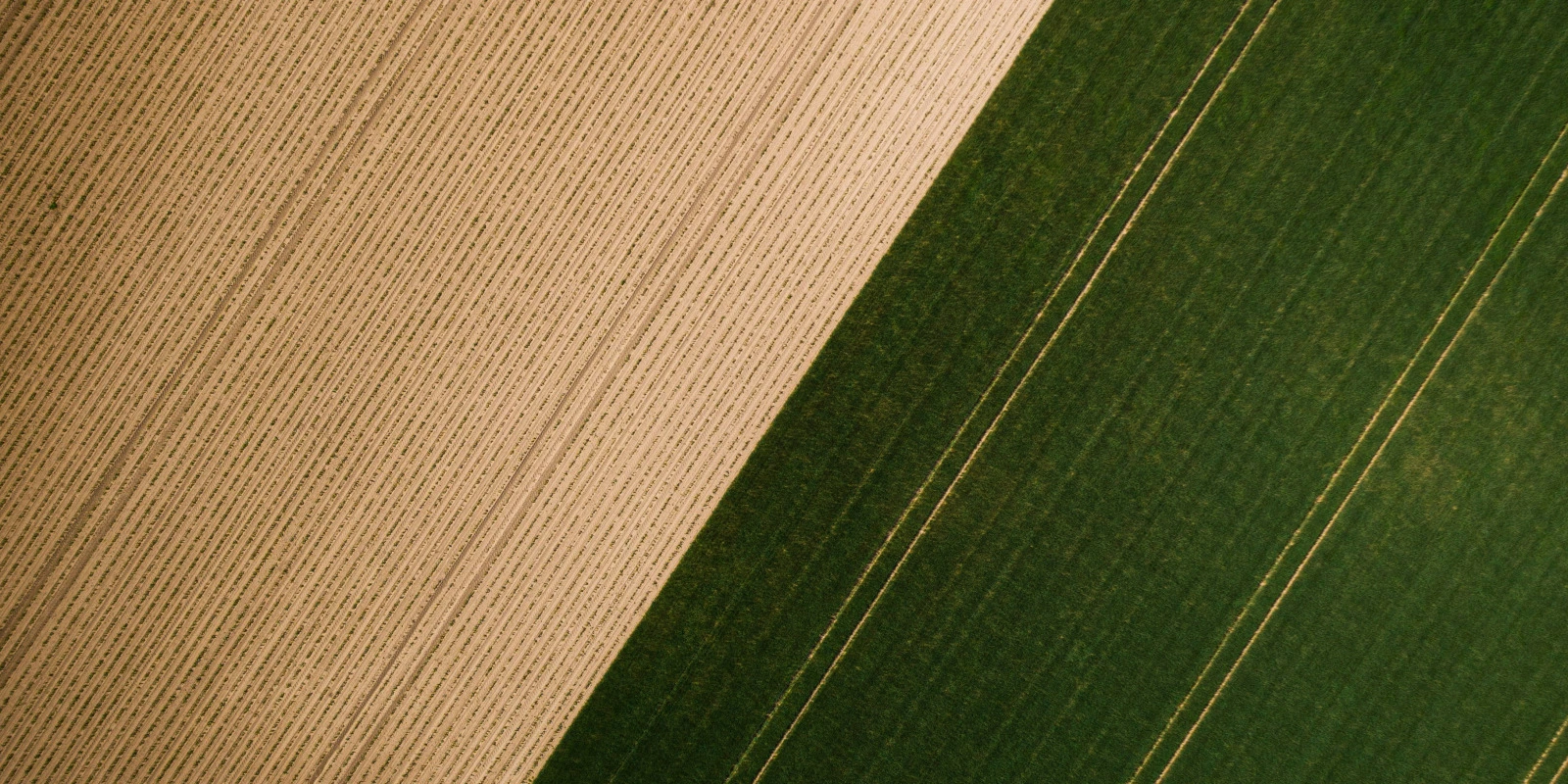 Didactique Générale : Méthodes d'Enseignement et Stratégies Pédagogiques Didactique Générale : Méthodes d'Enseignement et Stratégies Pédagogiques