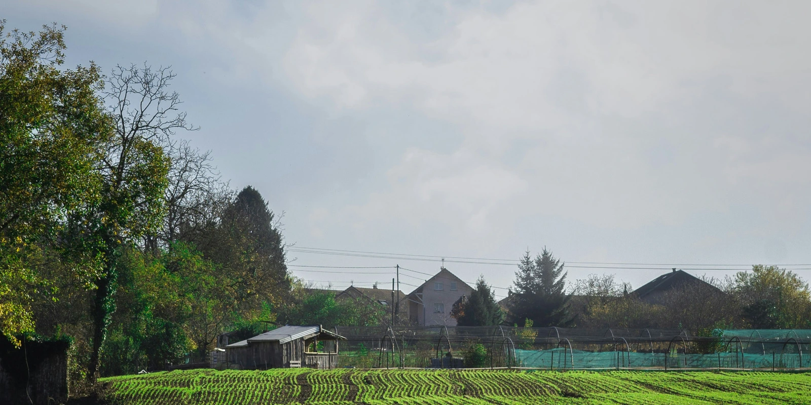 Éducation Inclusive : Enjeux et Défis