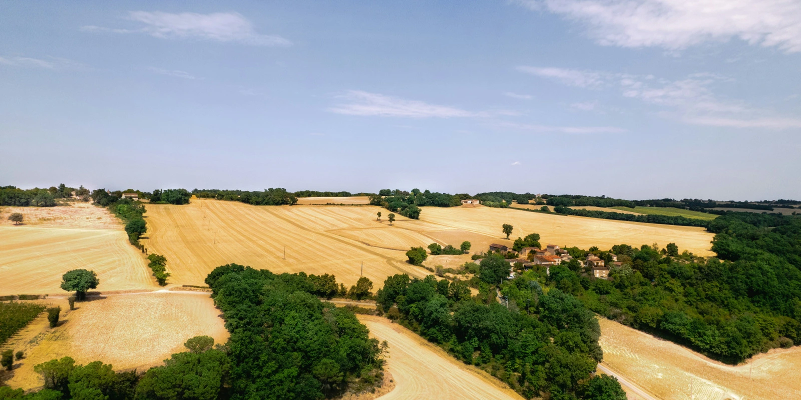 Emploi du Temps Licence SDE (Science De l'Éducation) Lille