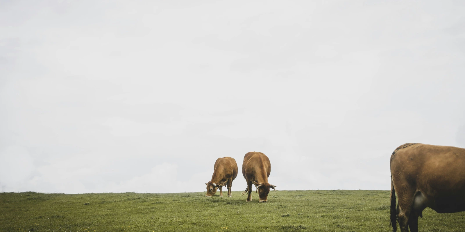 L'Éducation Inclusive : Approches et Pratiques pour Tous