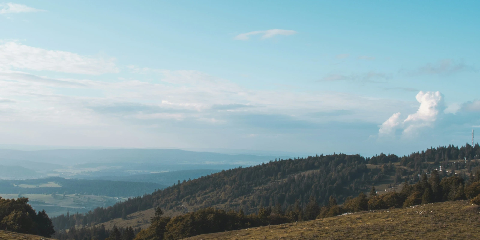 Les Apports de la Psychologie dans l'Éducation