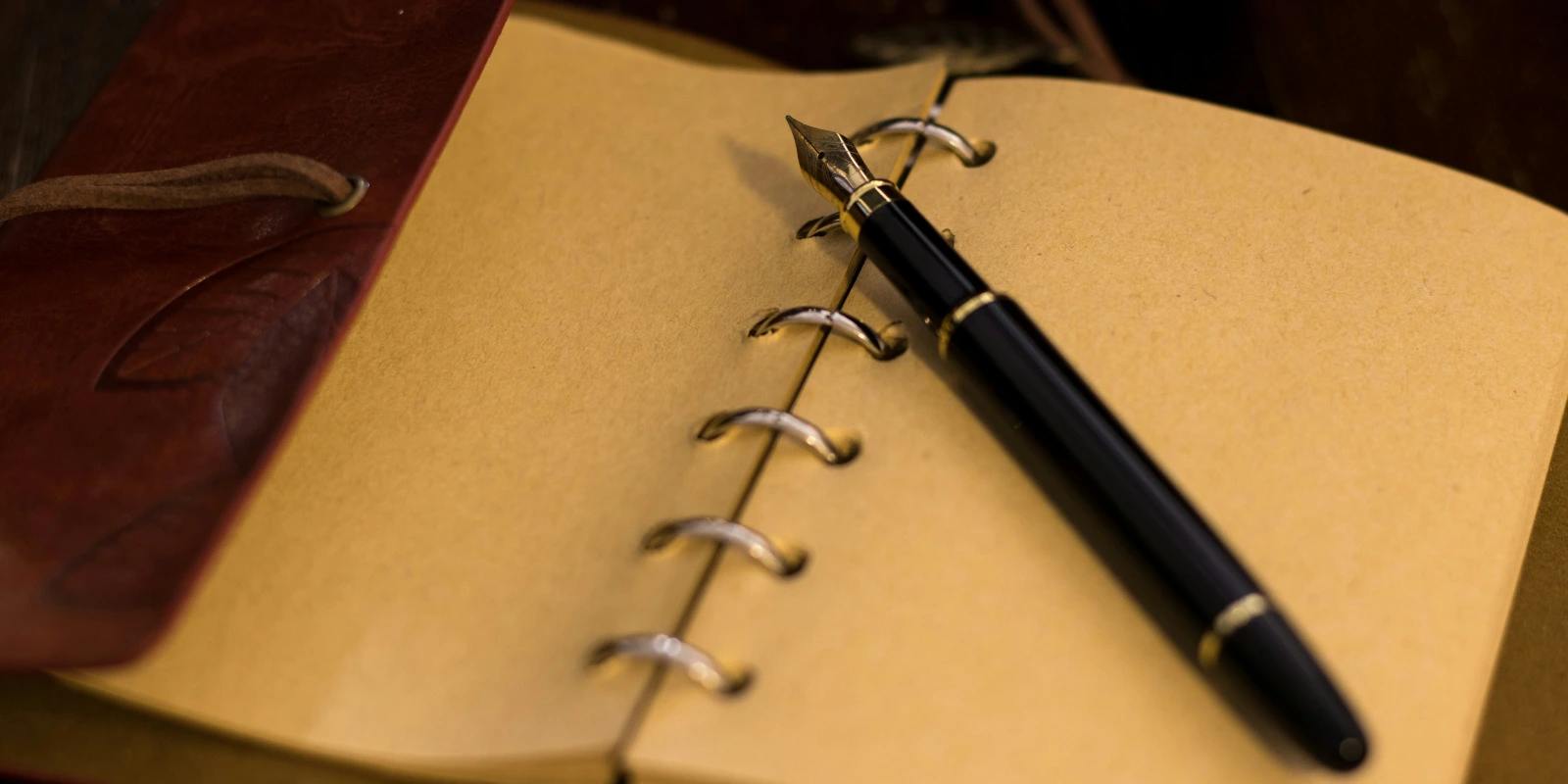 Licence SDE (Science De l'Éducation) à Brest Licence SDE (Science De l'Éducation) à Brest