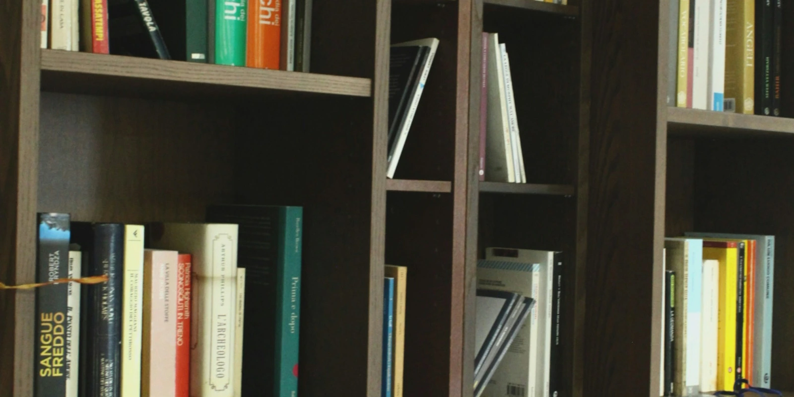 Programme de la Licence SDE (Science De l'Éducation) en L1